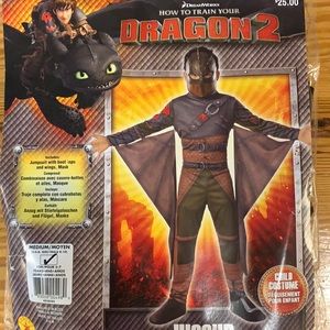 Hiccup costume from How To Train Your Dragon 2